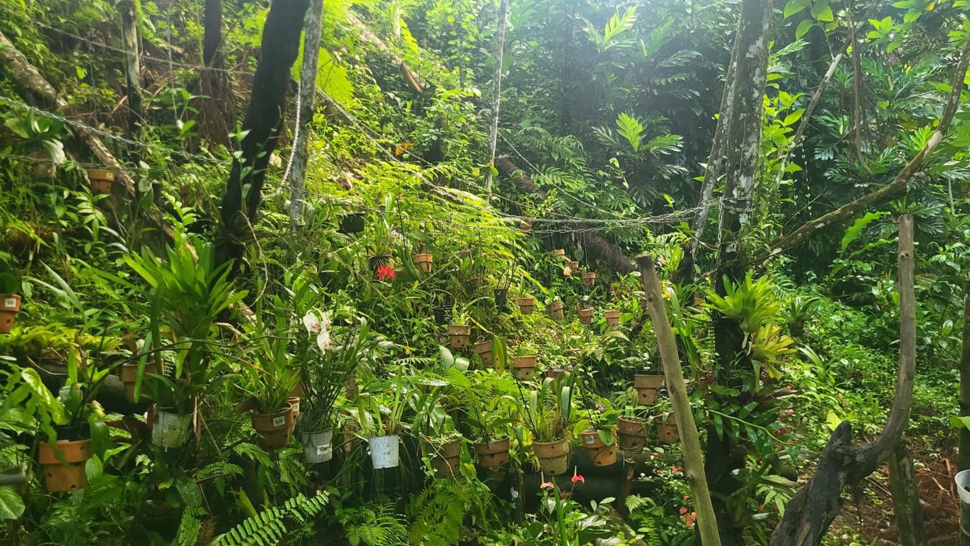Domaine Damouw Villa เปอตีต์-บูร์ก ภายนอก รูปภาพ